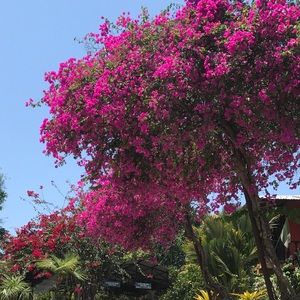 Meet your Posher, Skyler